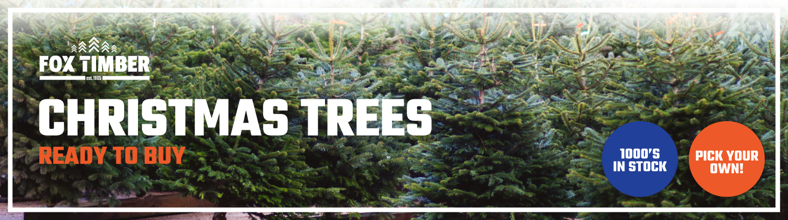 Buy Christmas Trees Lancashire