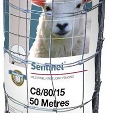 WELD MESH /SECURITY FENCE