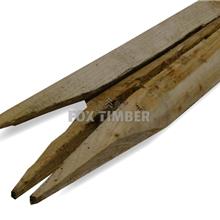 HEDGE STAKES