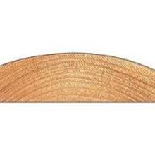 LOG LAP