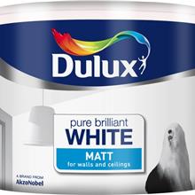 DULUX PAINT