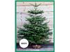 WHITE BAND CHRISTMAS TREES