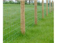 INCISED FENCE POSTS
