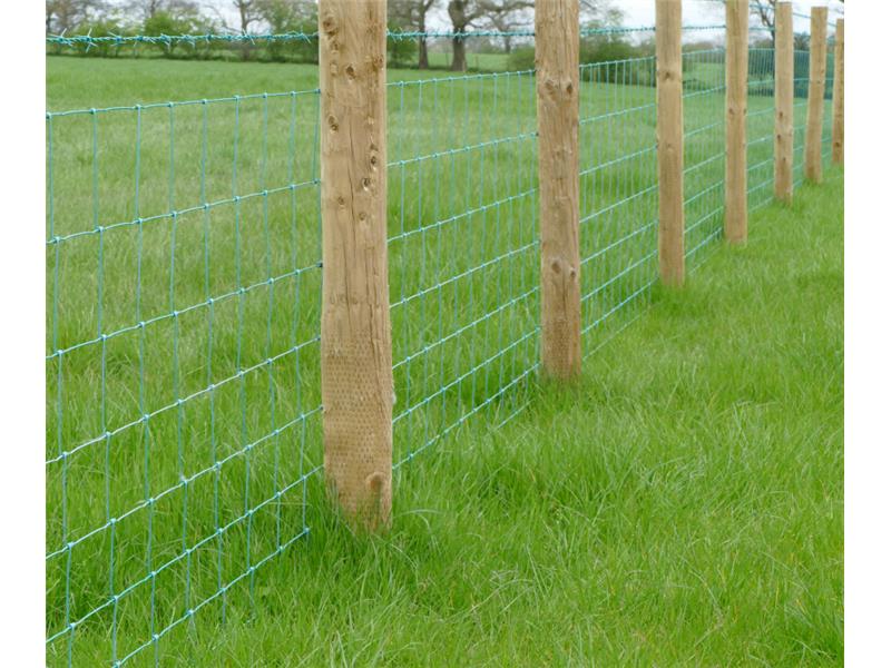 INCISED FENCE POSTS