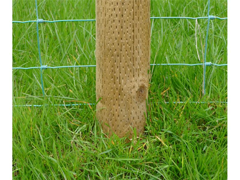 INCISED FENCE POSTS
