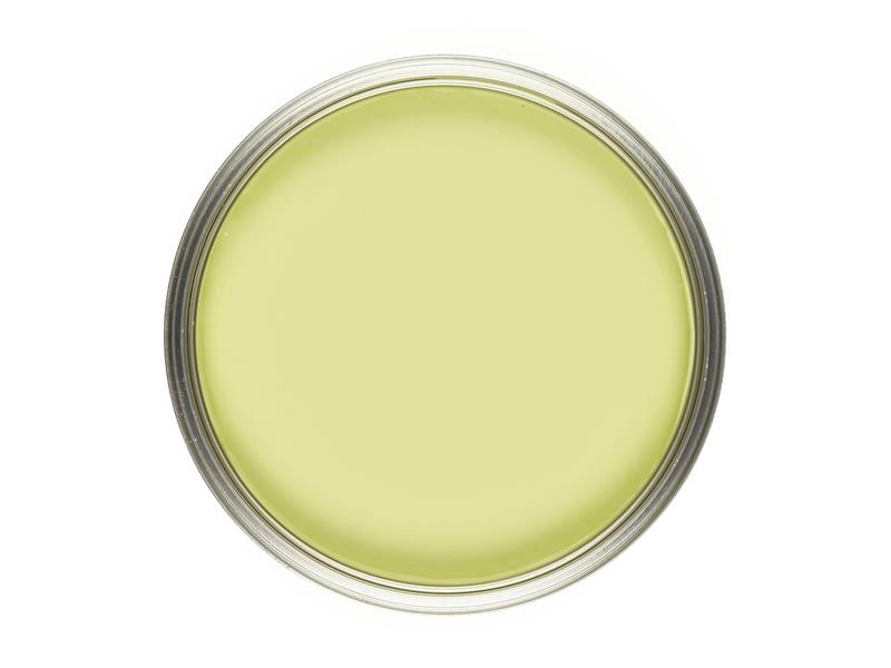 CITRON CHALK PAINT 1L TIN